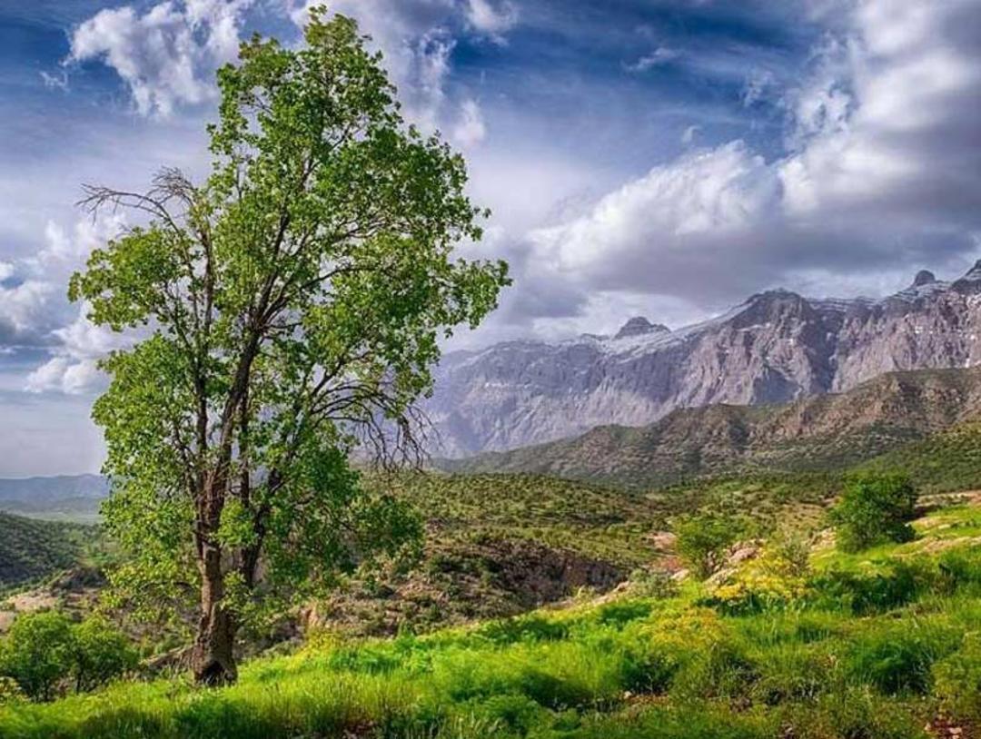 کوهستان ها و مراتع سرسبز منطقه حفاظت شده دنا