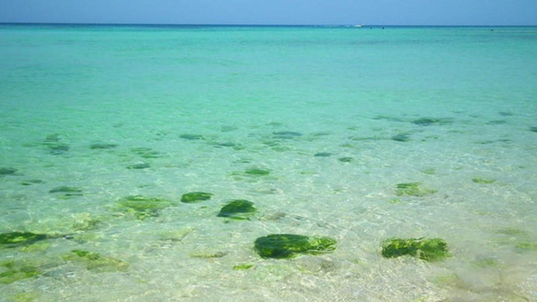 سفر به کیش
