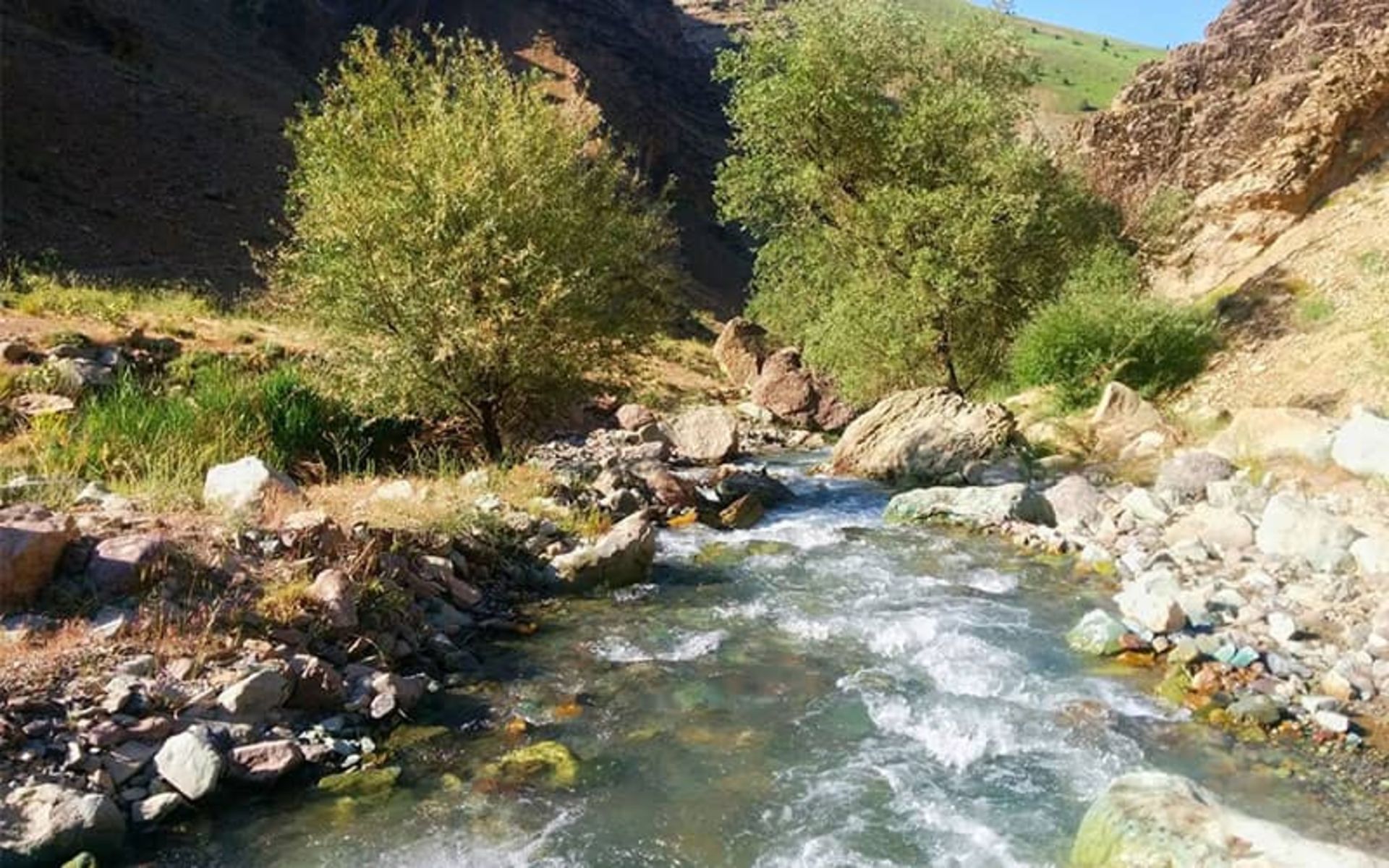  منطقه حفاظت شده ورجین