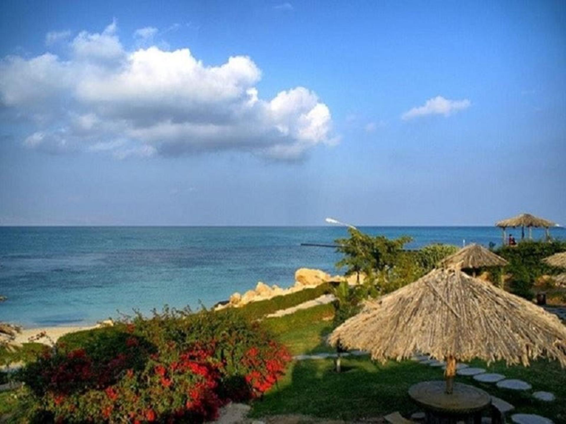ساحل مرجان