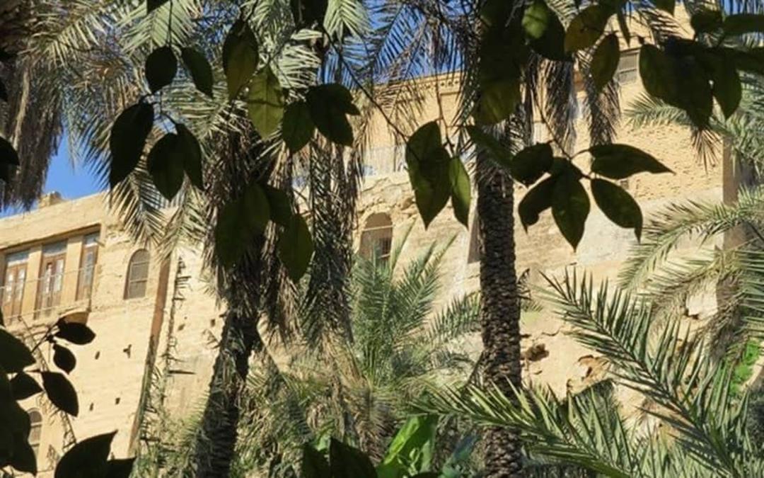 دو درخت نخل در مقابل ساختمانی قدیمی