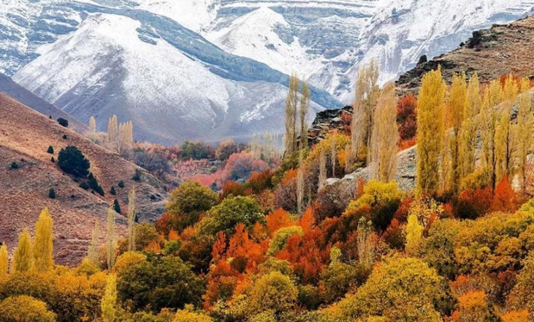 پاییز میگون