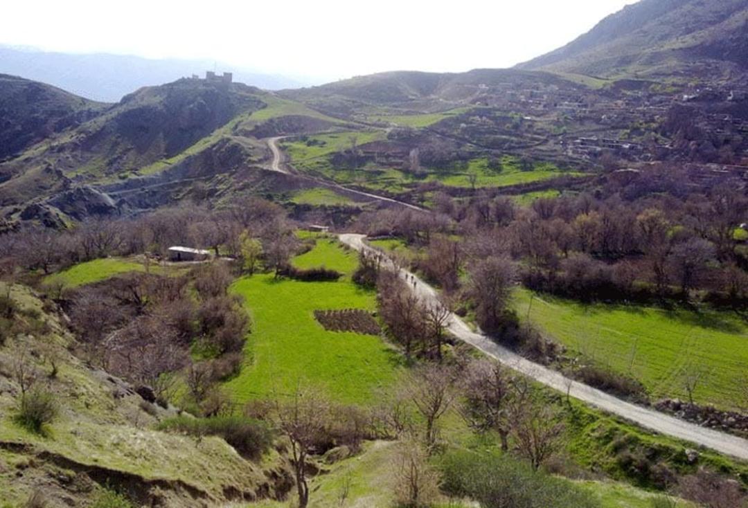 چمنزارهای پر درخت و سبز در منطقه آلان سردشت از نمای بالا