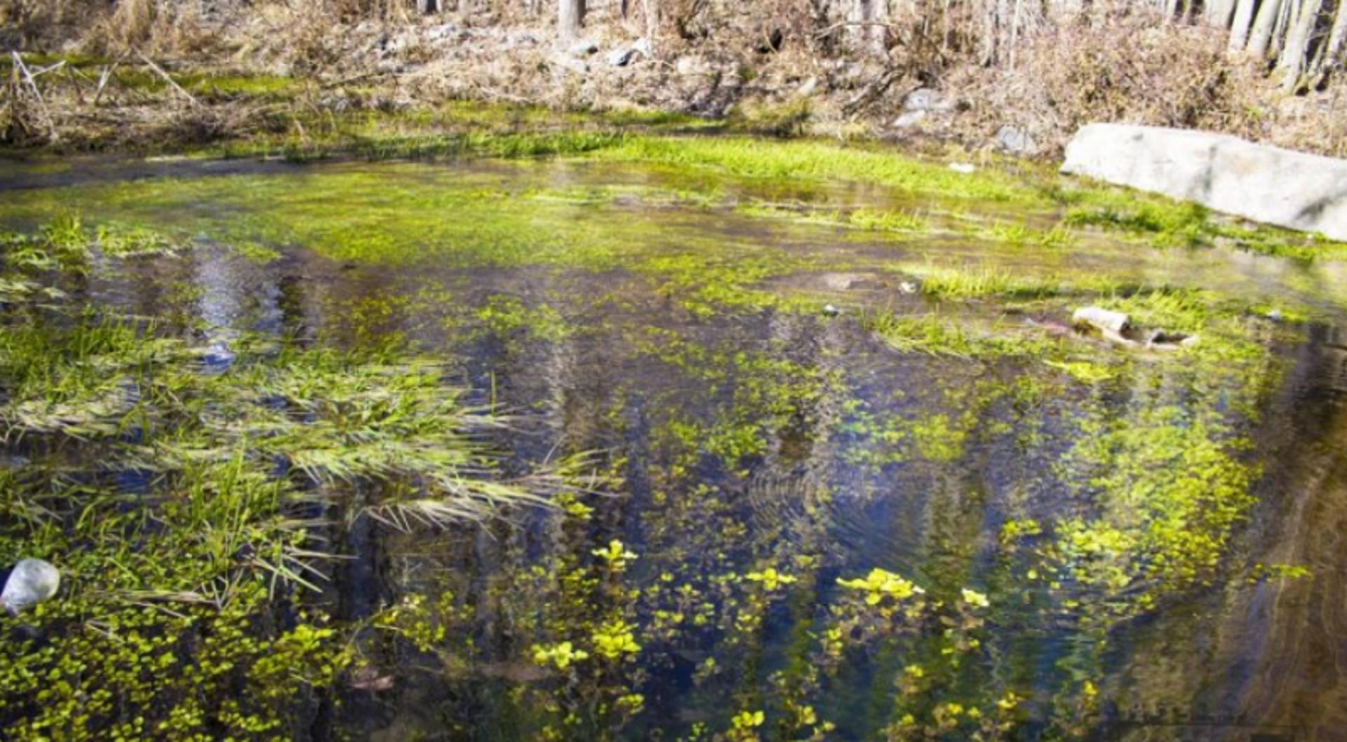 بهترین زمان بازدید از روستای ونان