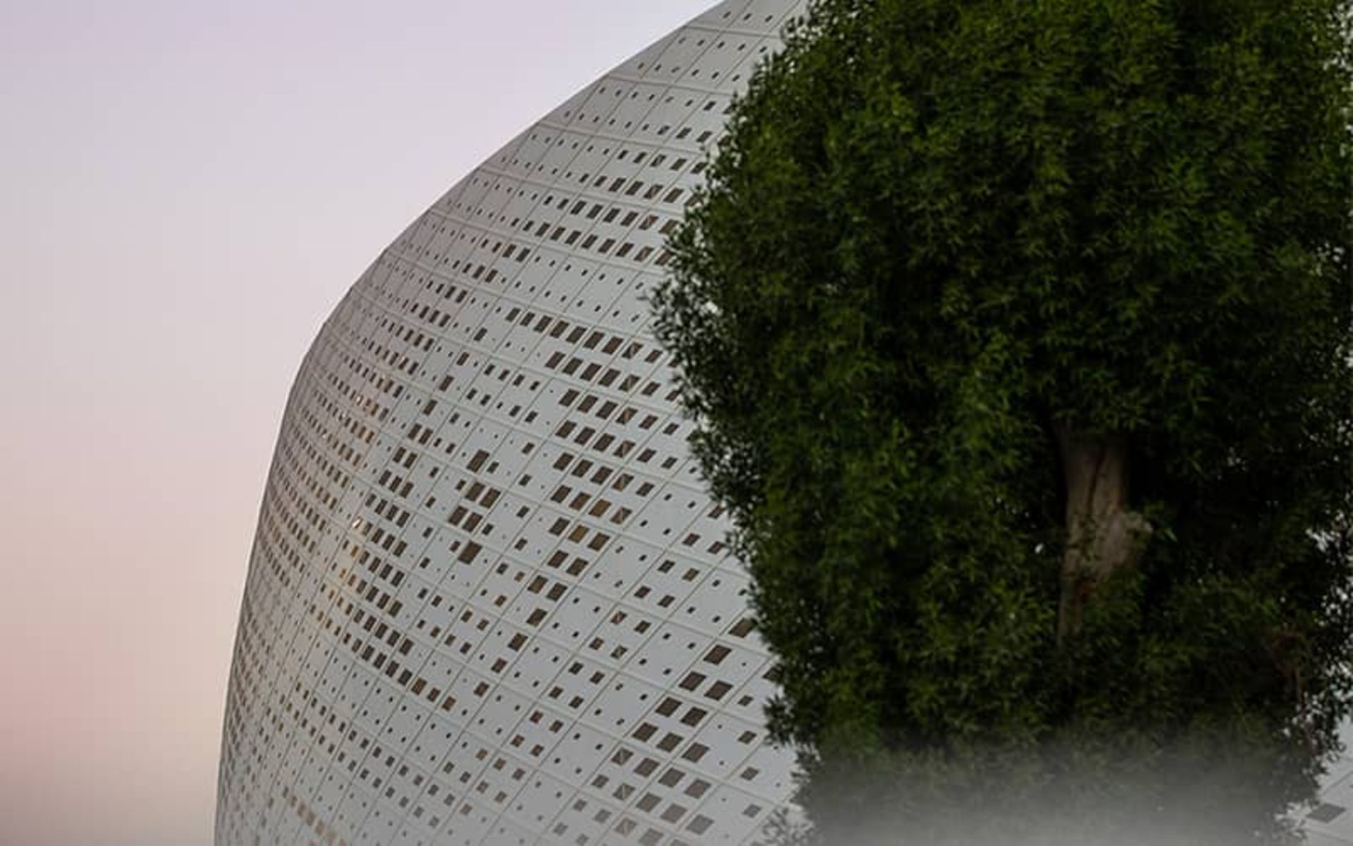 درختی سرسبز در کنار ساختمانی سفیدرنگ و مشبک