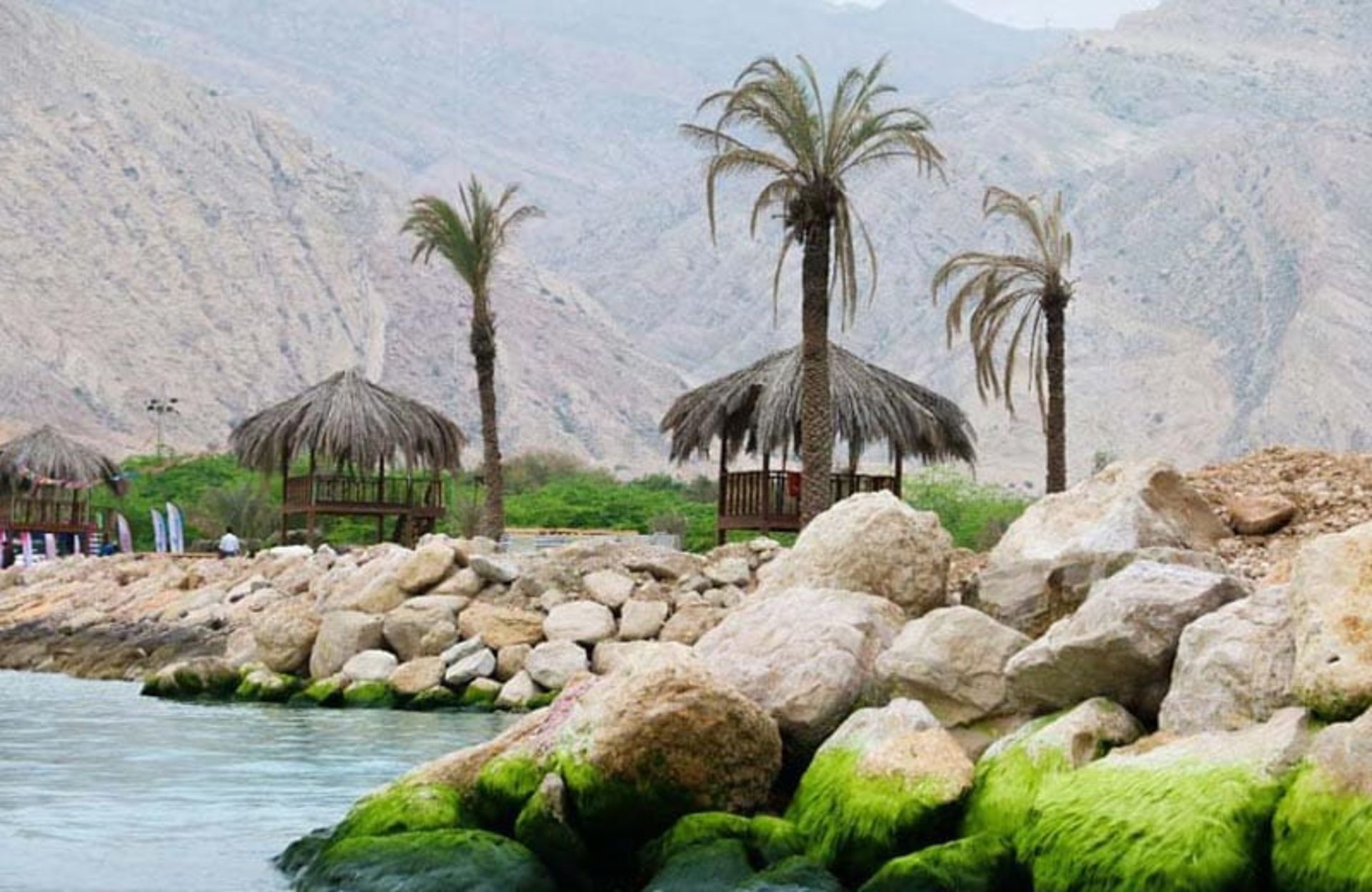 سواحل صخره ای خزه ای عسلویه با آلاچیق های حصیری و درختان نخل