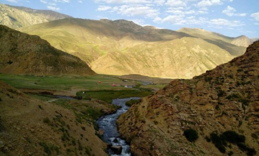 دست دریوک