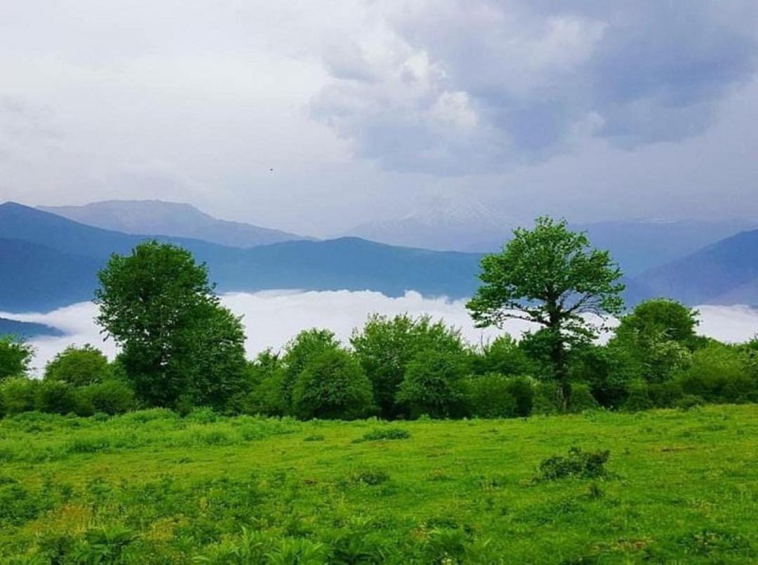 جنگل الیمستان
