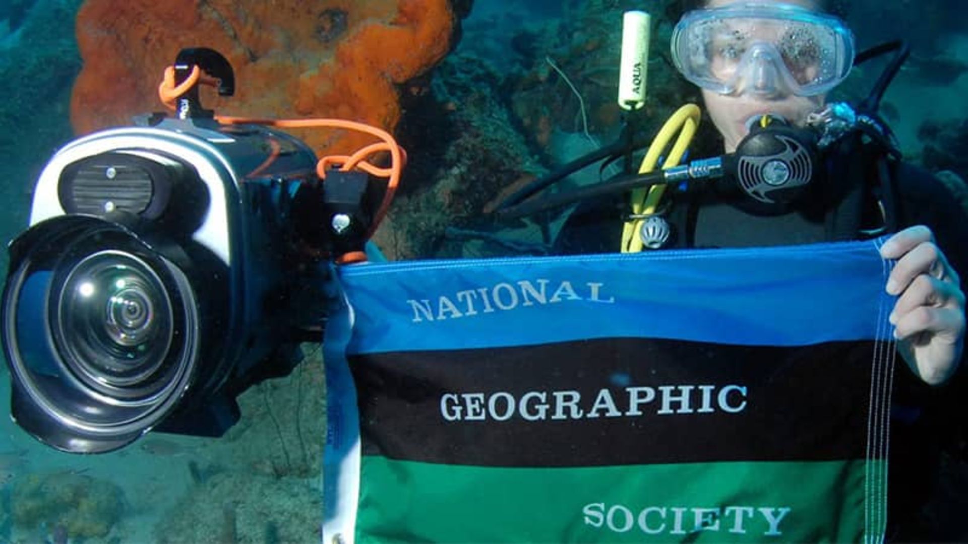 2022-6-25f99d54-9ef6-4139-8cbc-65db6596c13c