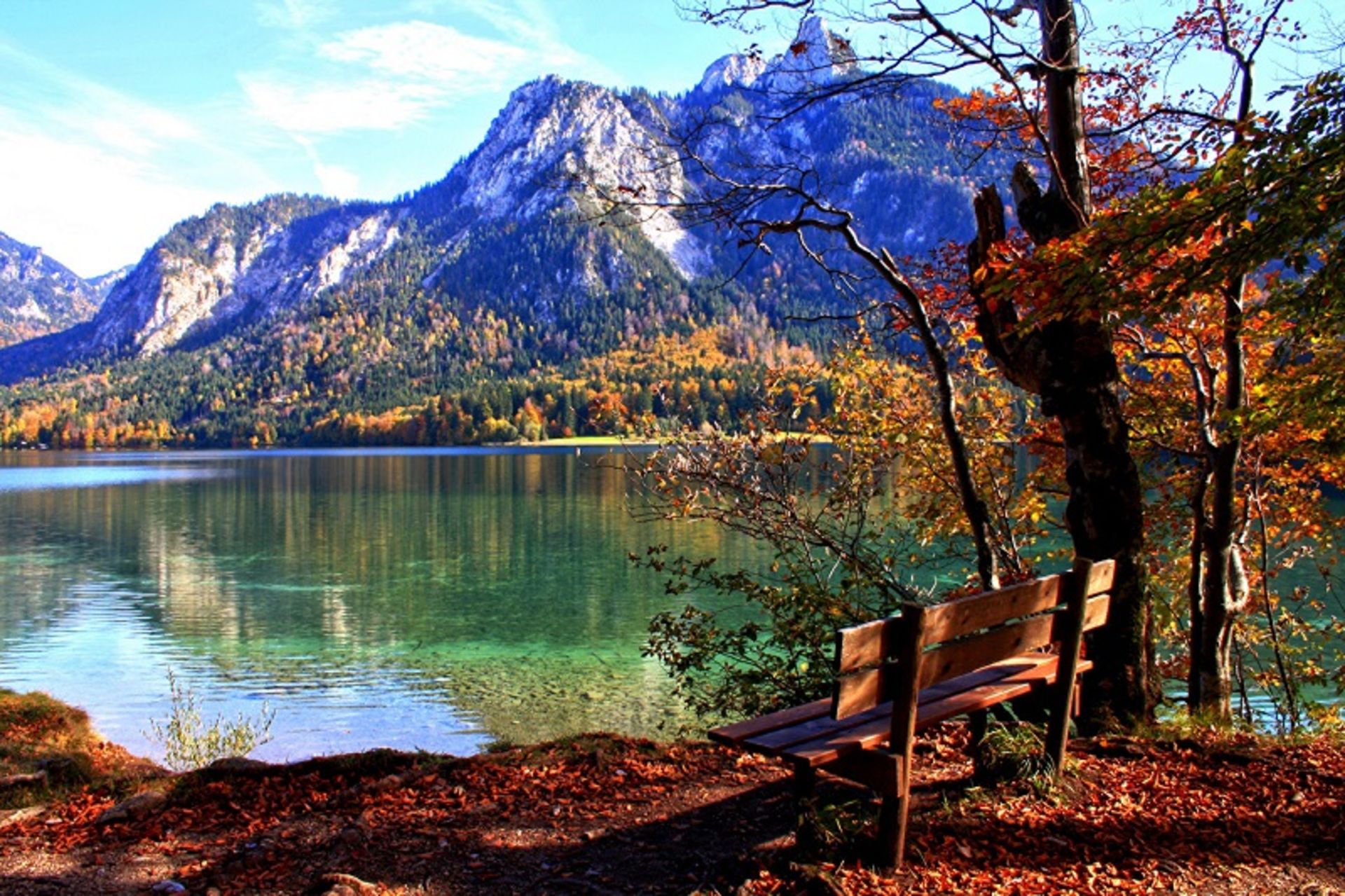 طبیعت زیبای باواریا