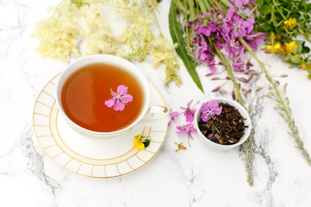چای ایوان در روسیه