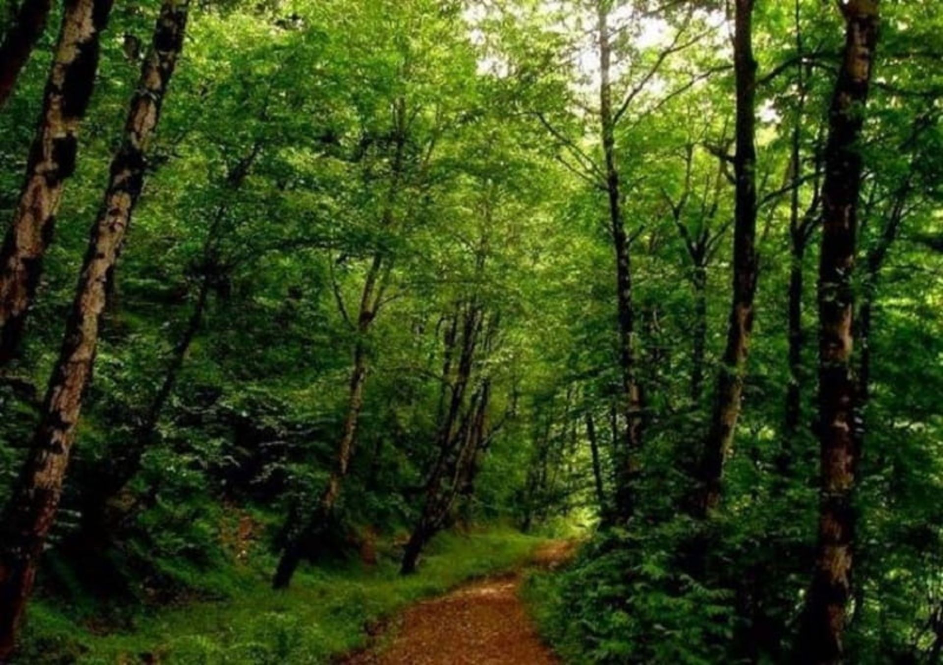 جاده منتی به دریاچه ویستان