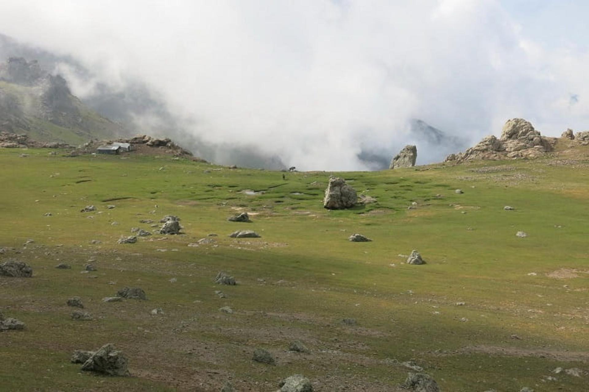 عکس ییلاق سلانسر