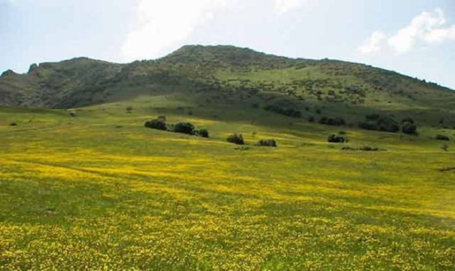 دشت ویستان