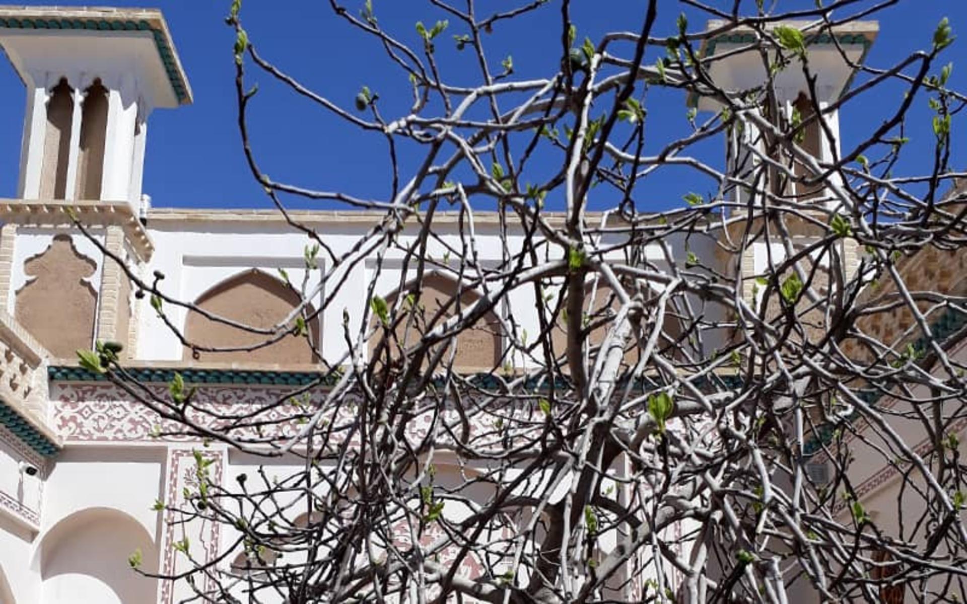 خانه تاریخی عادل (اقامتگاه سنتی نه چم)