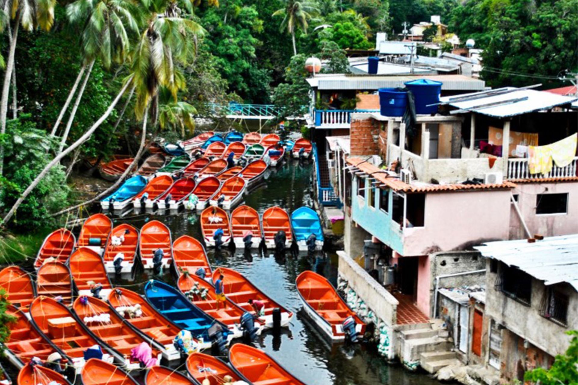 ساحل کرونی ونزوئلا