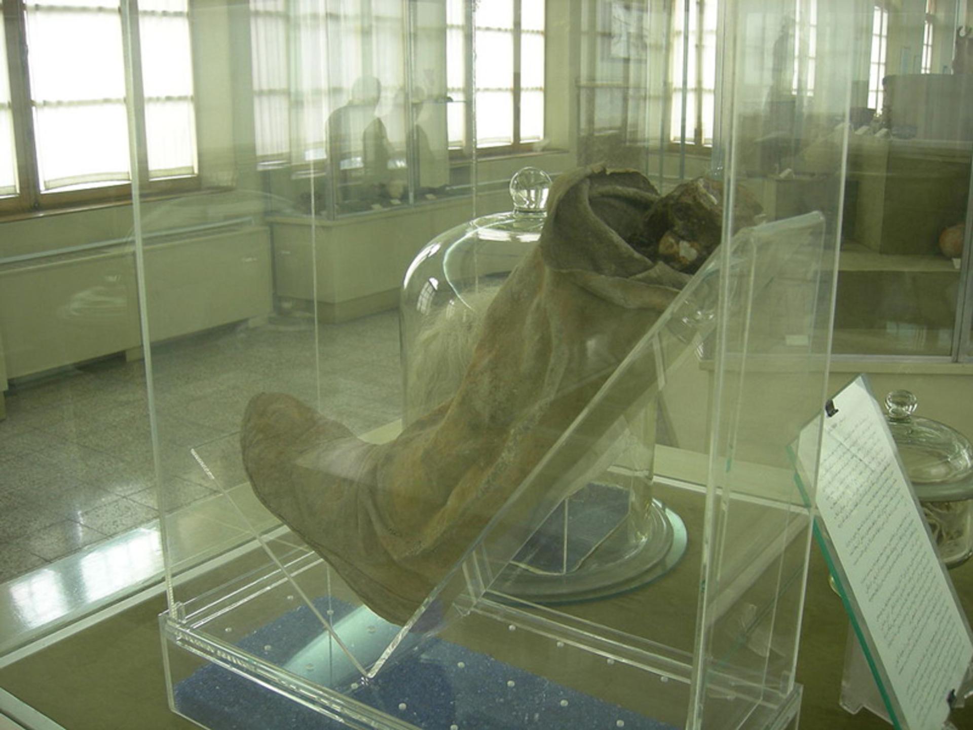 پای مردان نمکی
