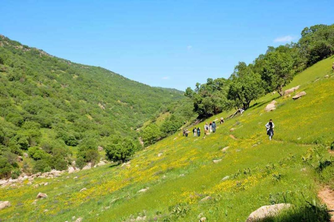 مسیر آبشار نای انگیز