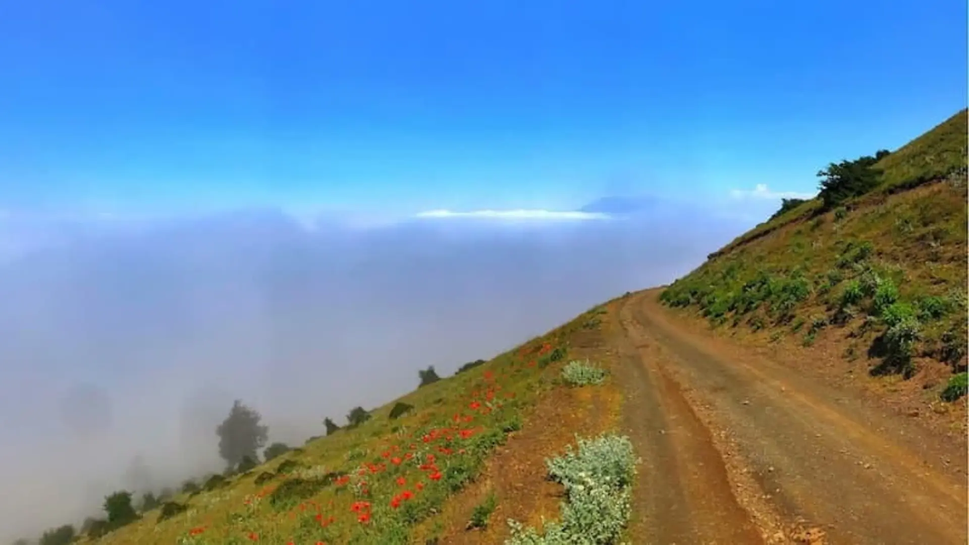 ییلاق سلانسر رودبار
