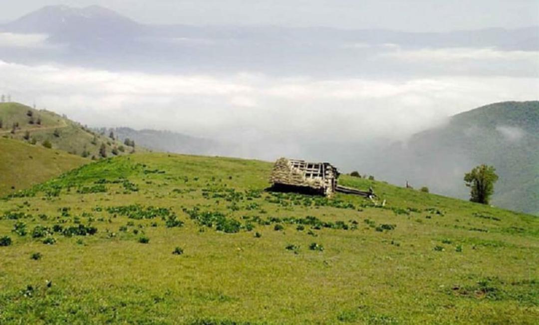 عکس ییلاق سلانسر