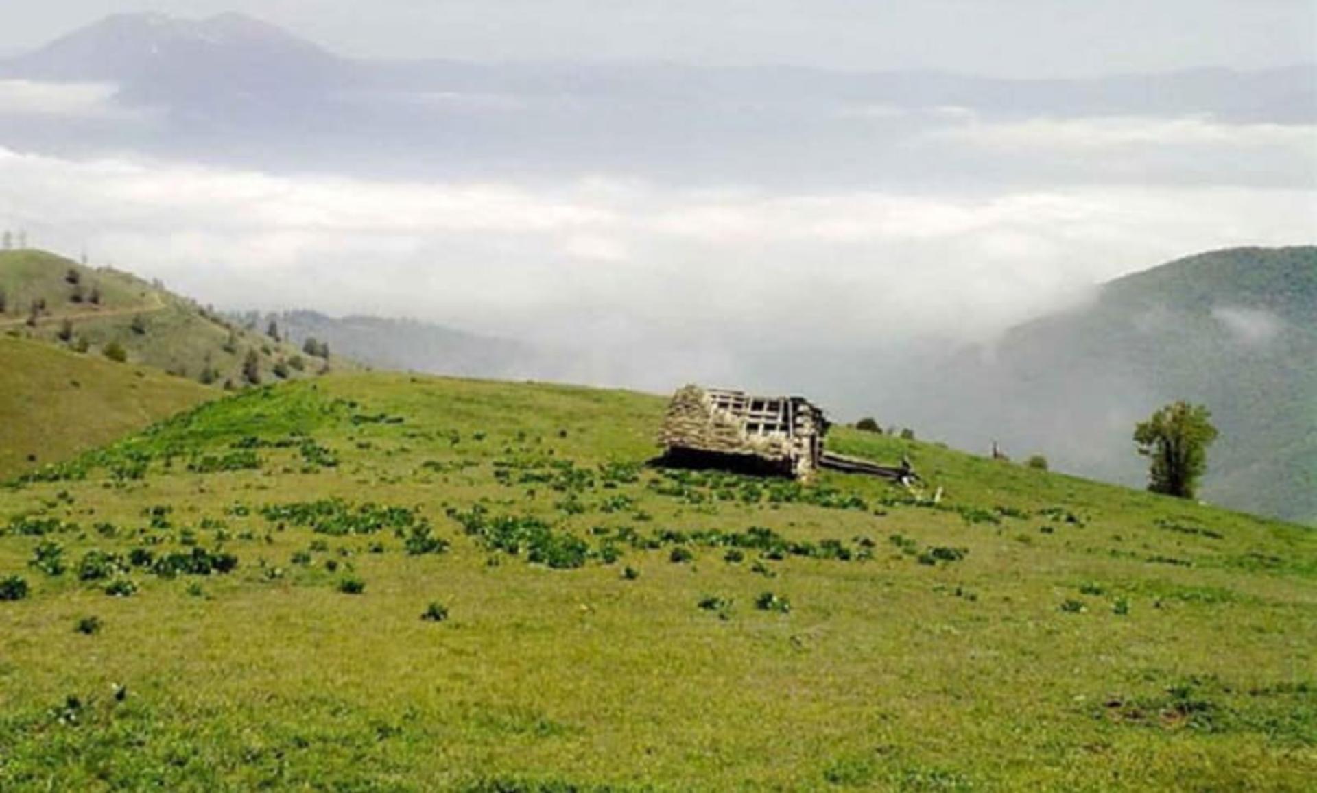 عکس ییلاق سلانسر