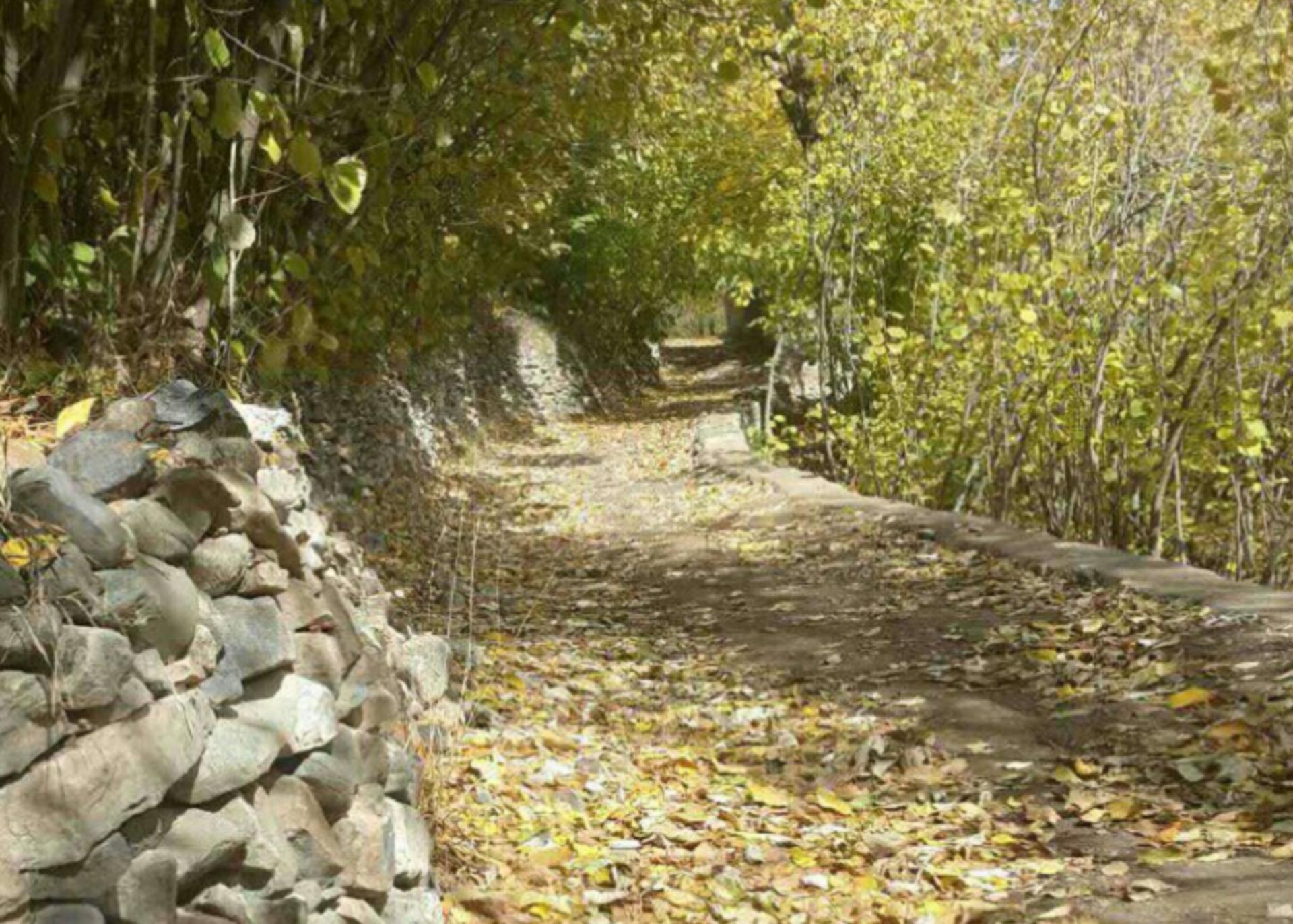 درباره روستای ونان