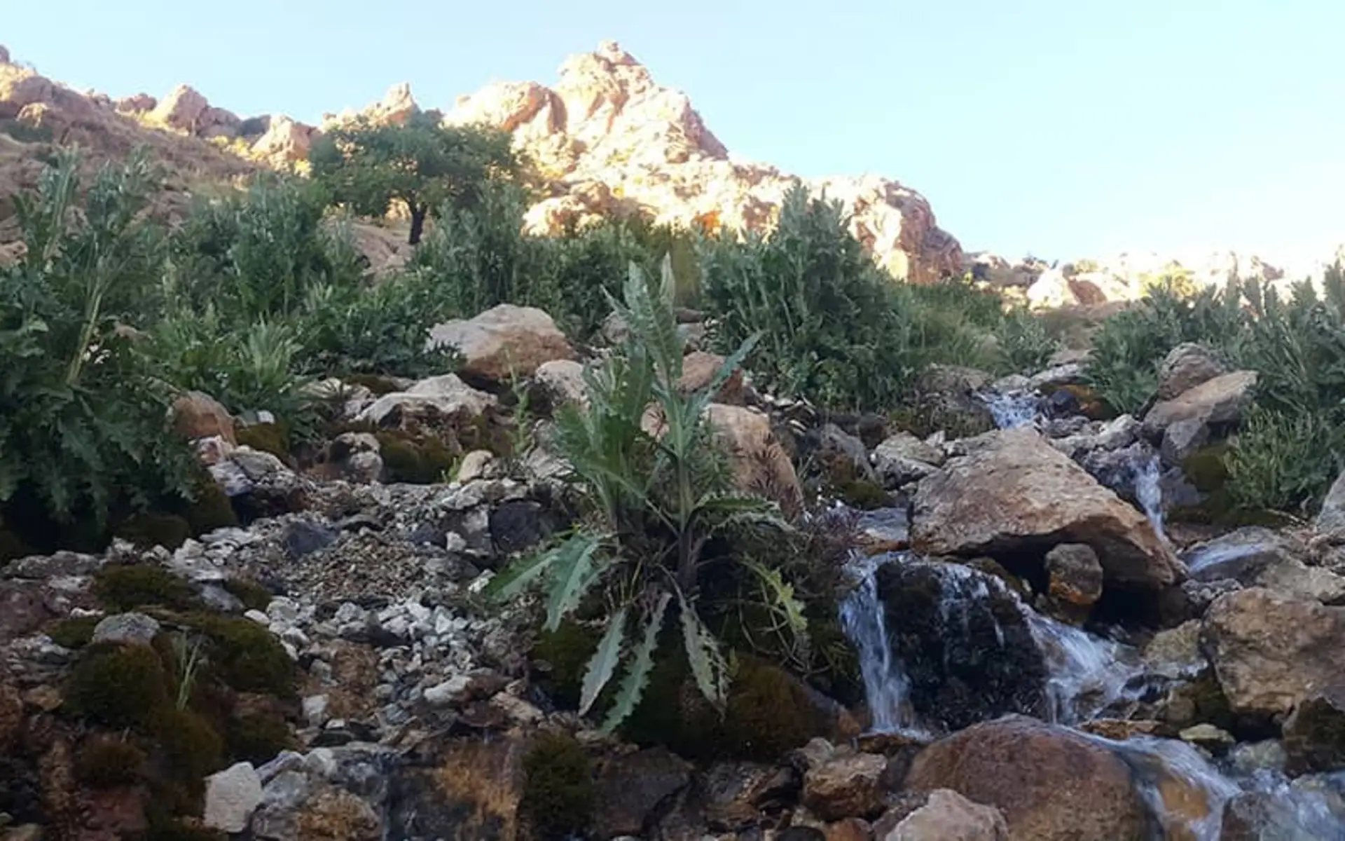 آبشار پونه زار