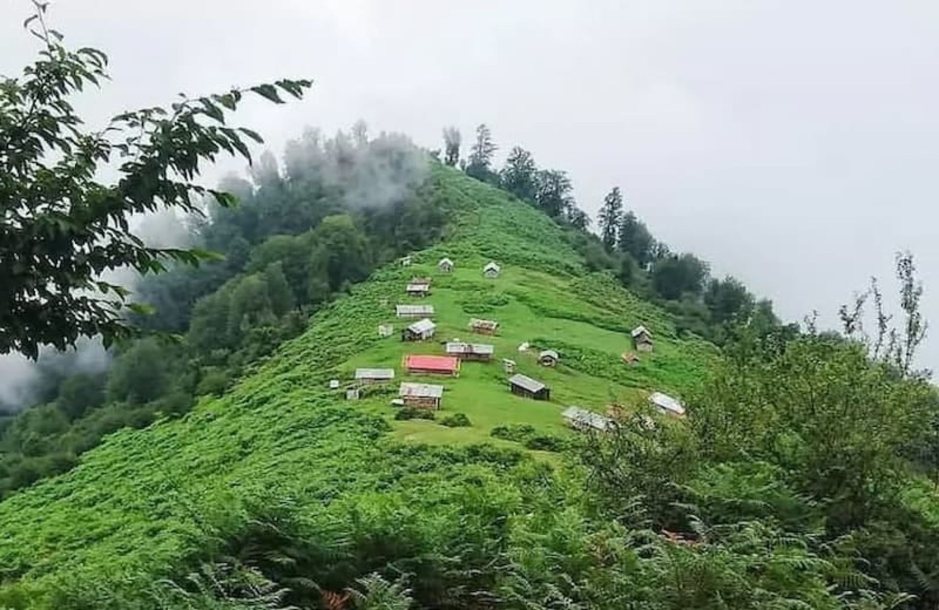 ییلاق ماسال
