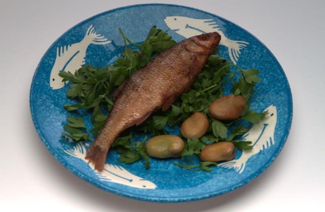 شورکولی