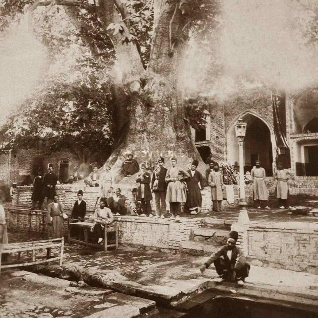 چنار کهنسال امامزاده صالح