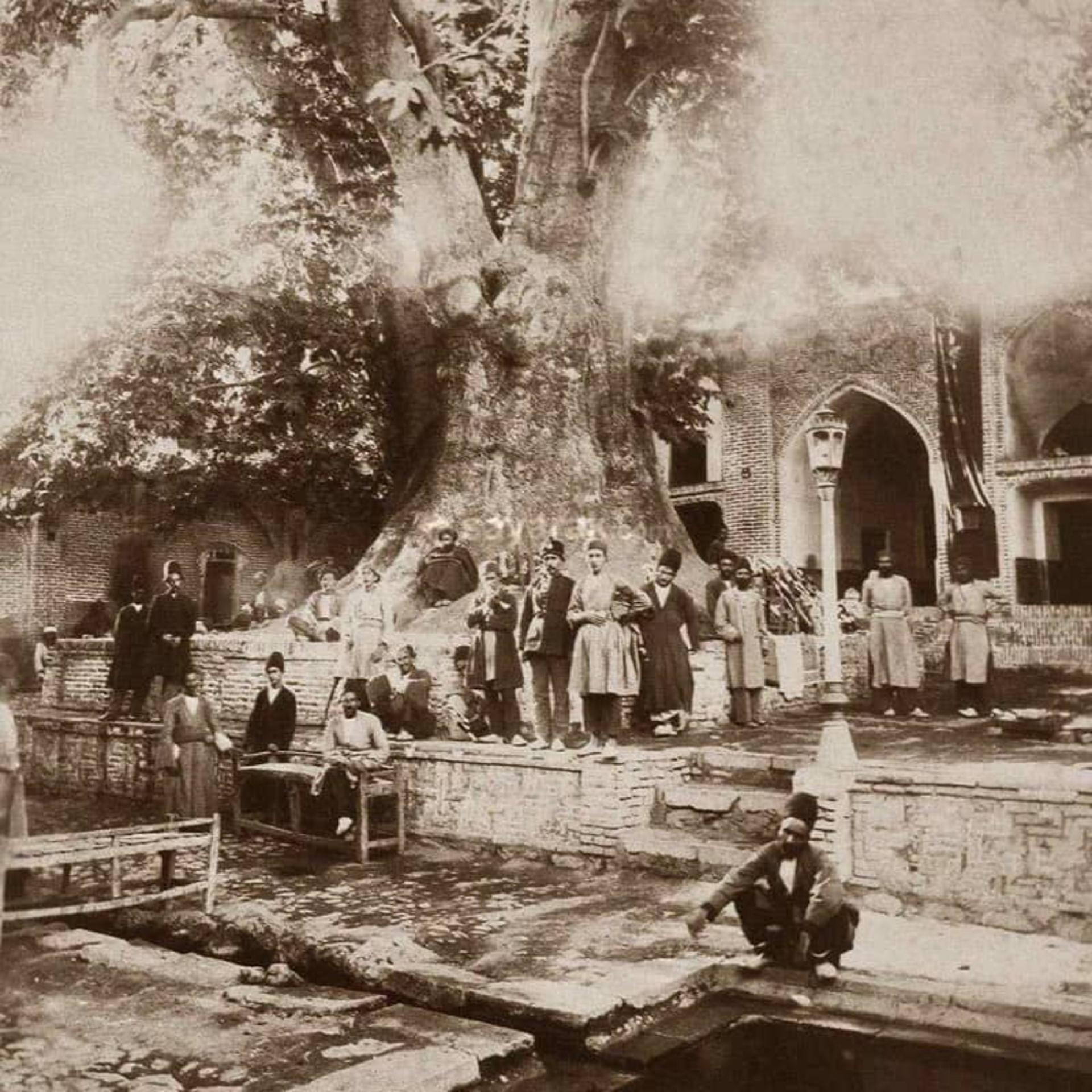 چنار کهنسال امامزاده صالح
