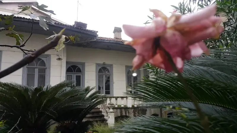 عمارت نبی زاده لوکیشن فیلم در دنیای تو ساعت چند است