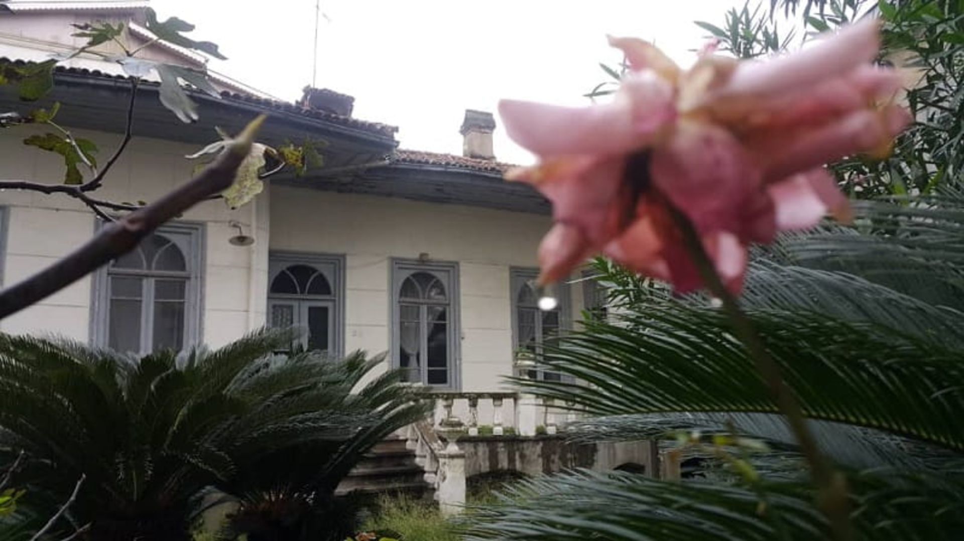 عمارت نبی زاده لوکیشن فیلم در دنیای تو ساعت چند است
