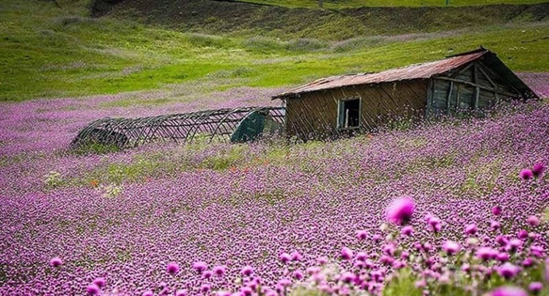 جاذبه های تالش