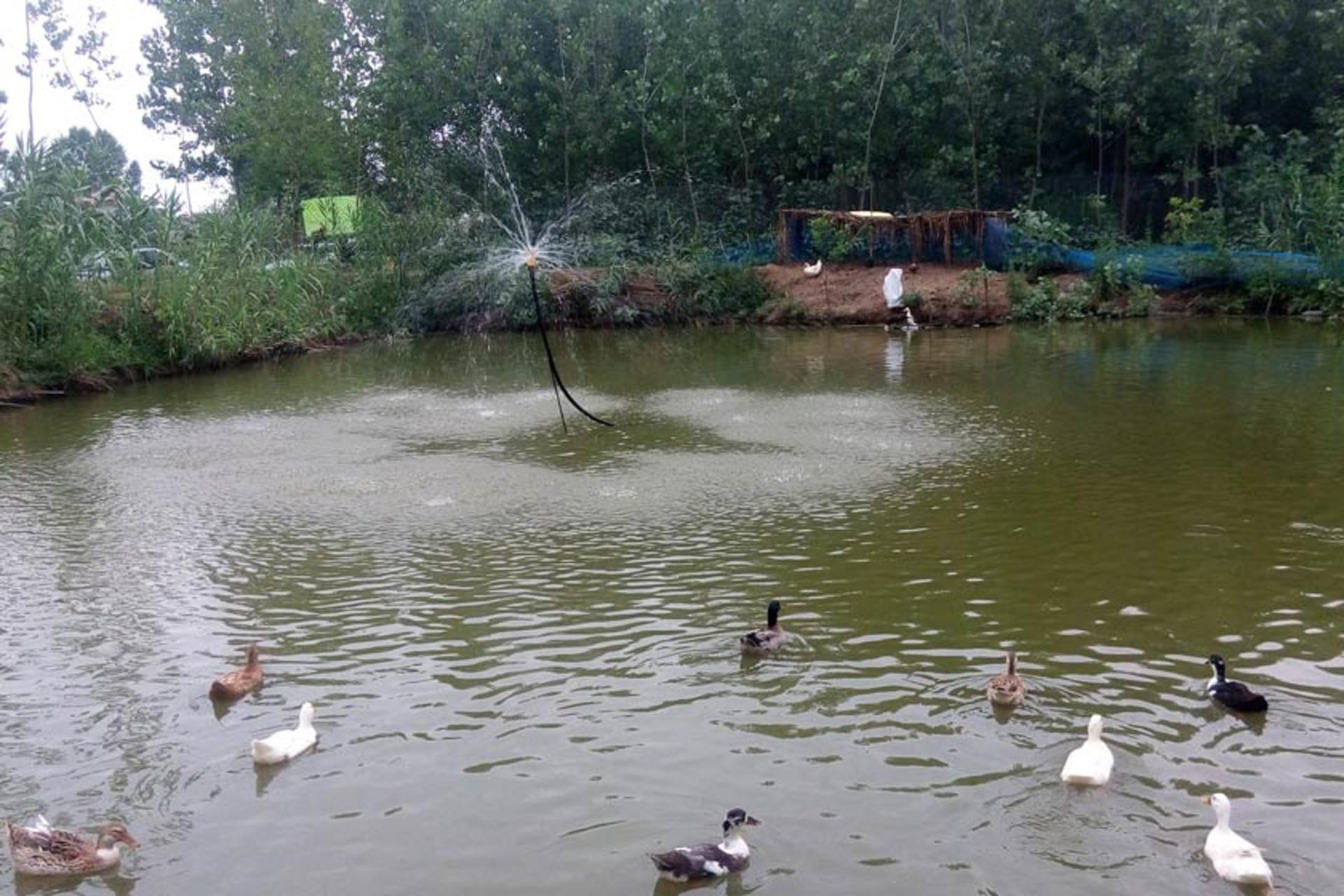 جاذبه‌های طبیعی روستای اسبچین متل قو