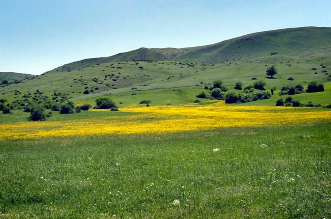 دیلمان