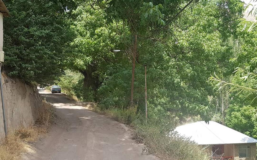 جاده خاکی در روستایی سرسبز