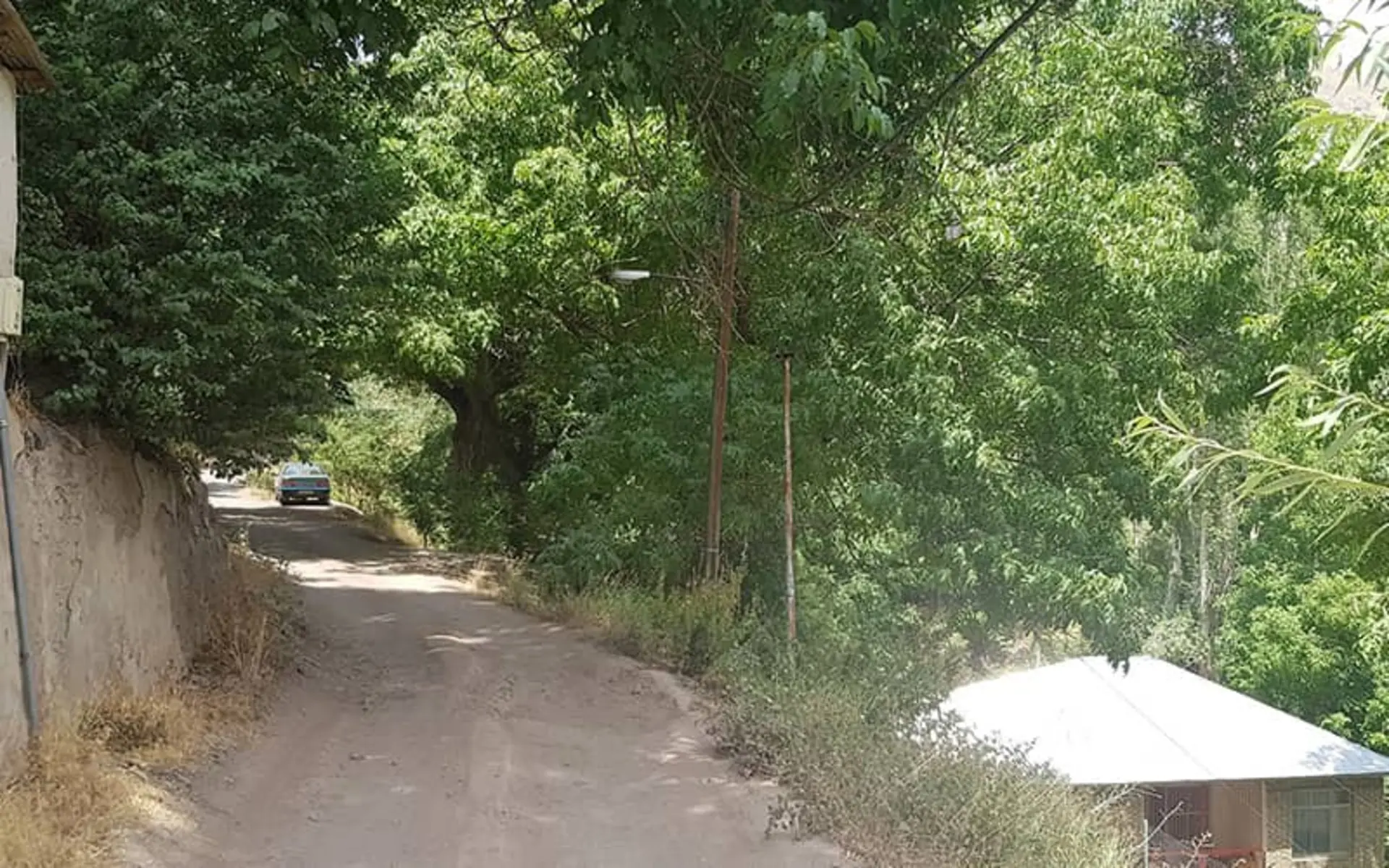 جاده خاکی در روستایی سرسبز