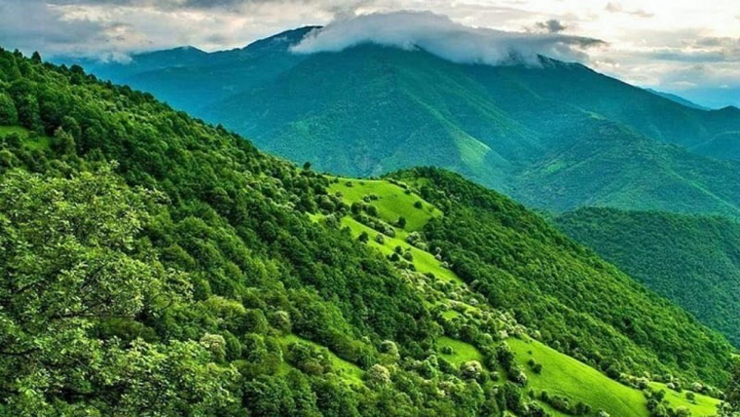 جنگل‌های ارسباران
