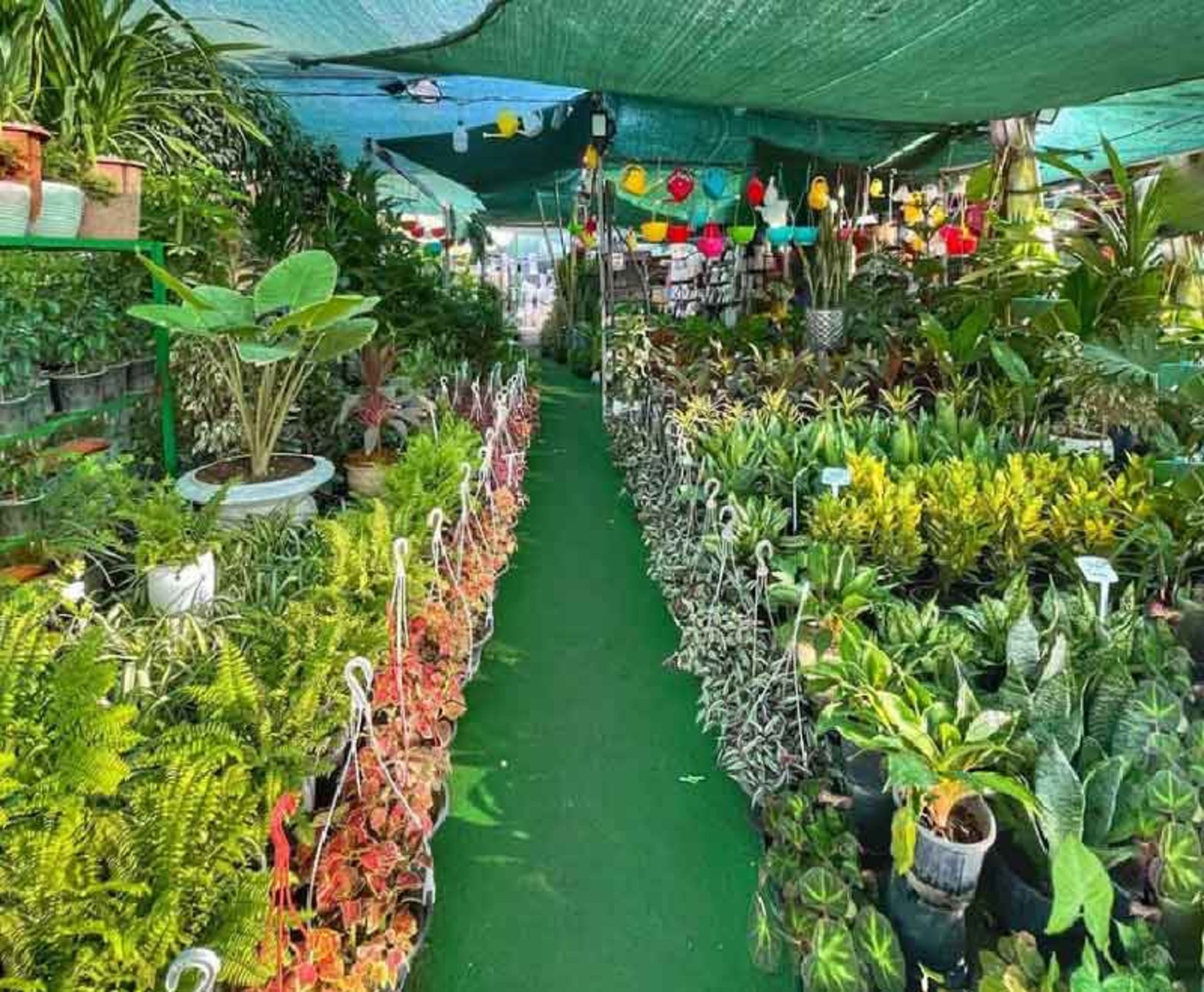 غرفه گلخانه‌ای بازار محلاتی 