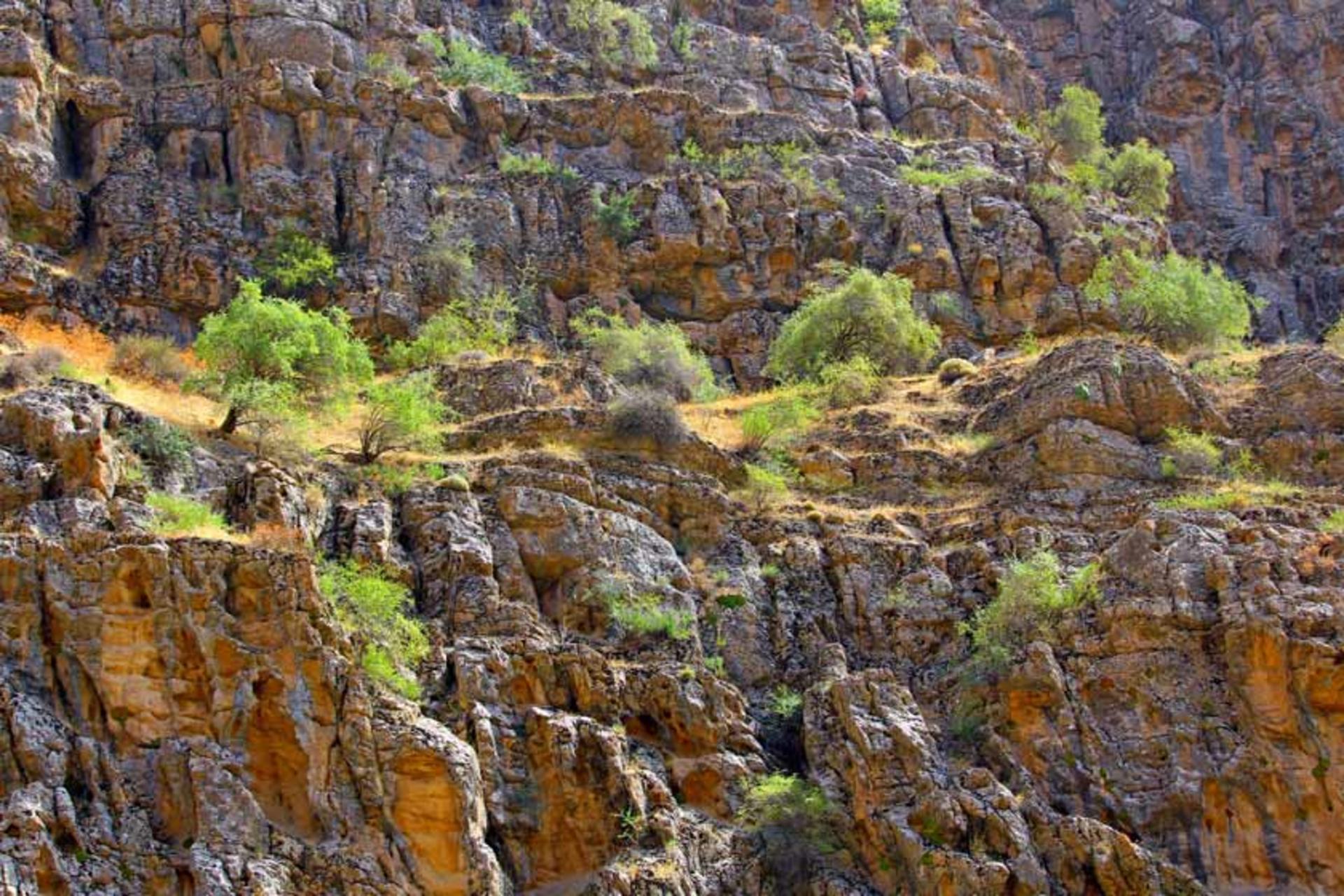 طبیعت‌گردی در منطقه گردشگری باجیگران