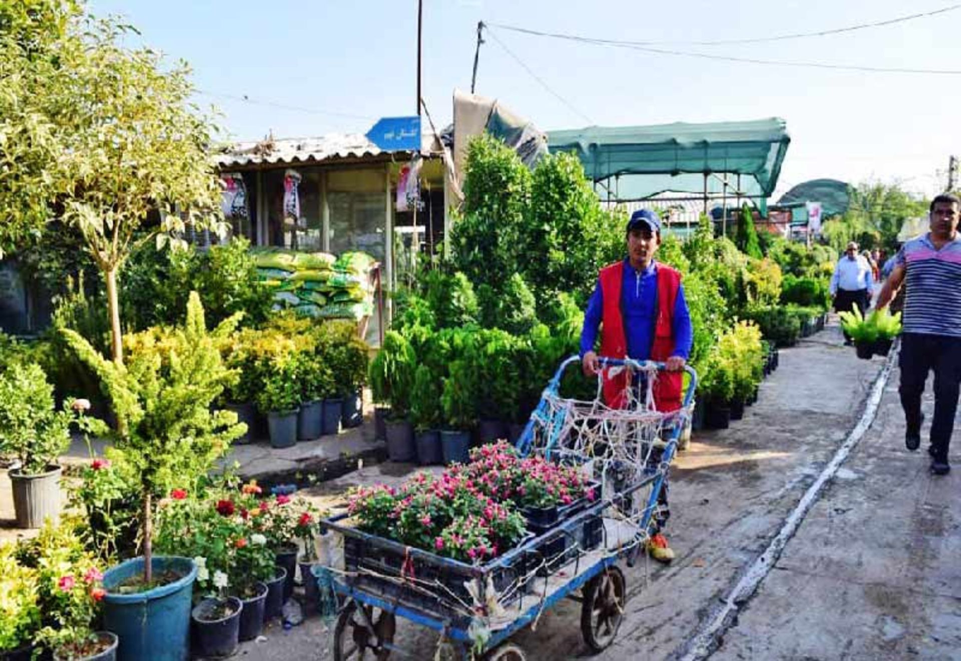 محوطه خارجی بازار گل محلاتی 