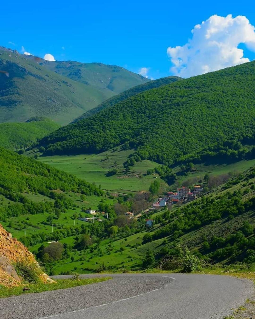 پارک جنگلی مکیدی
