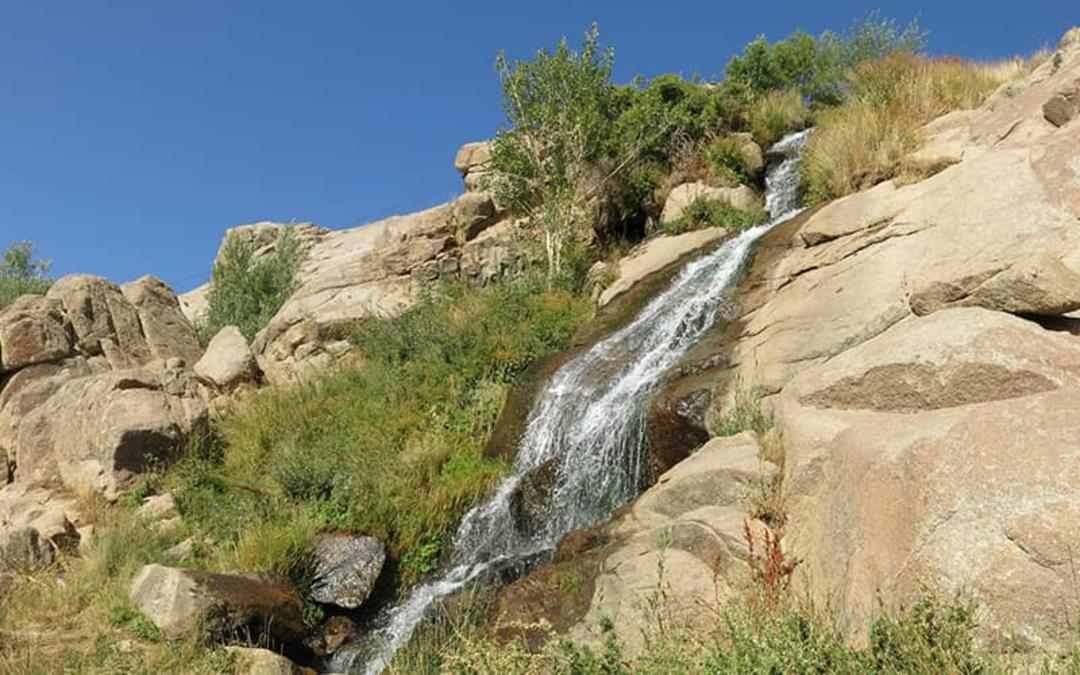 دشت میشان