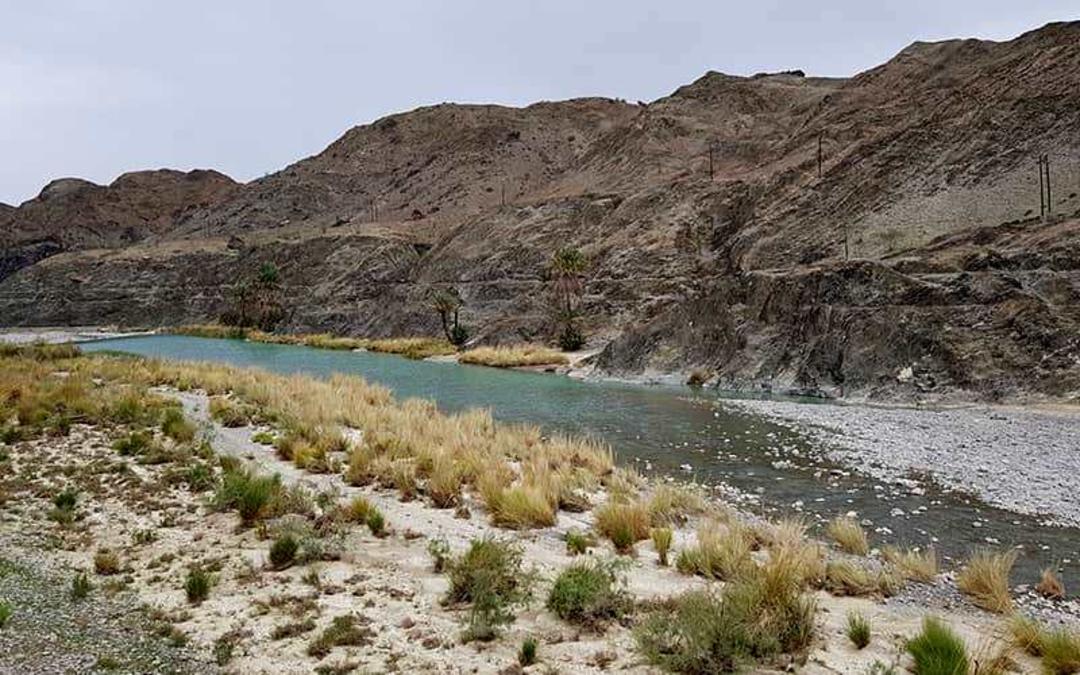 منطقه حفاظت شده گاندو 