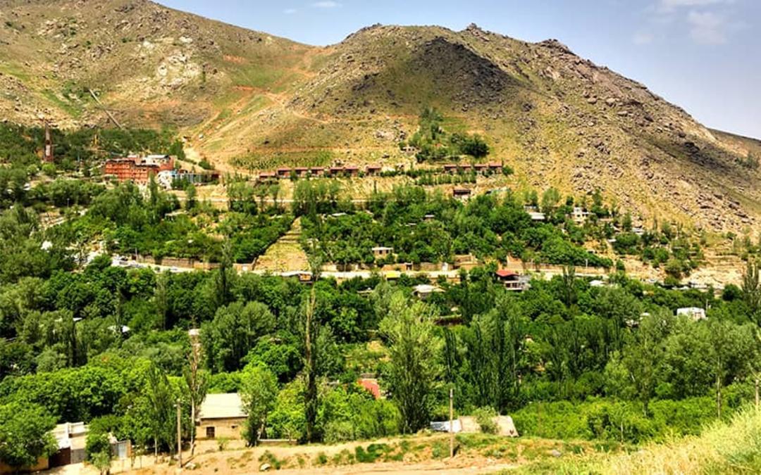 خانه های ویلایی در منطقه ای سرسبز در دامنه کوه