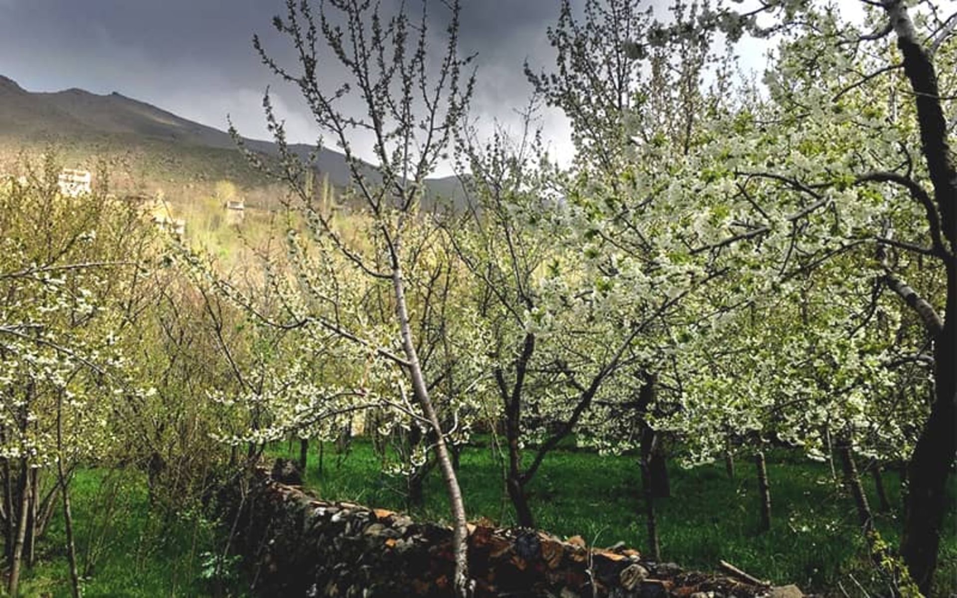 دره مرادبیگ
