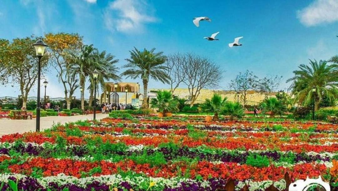 پارک وکرة
