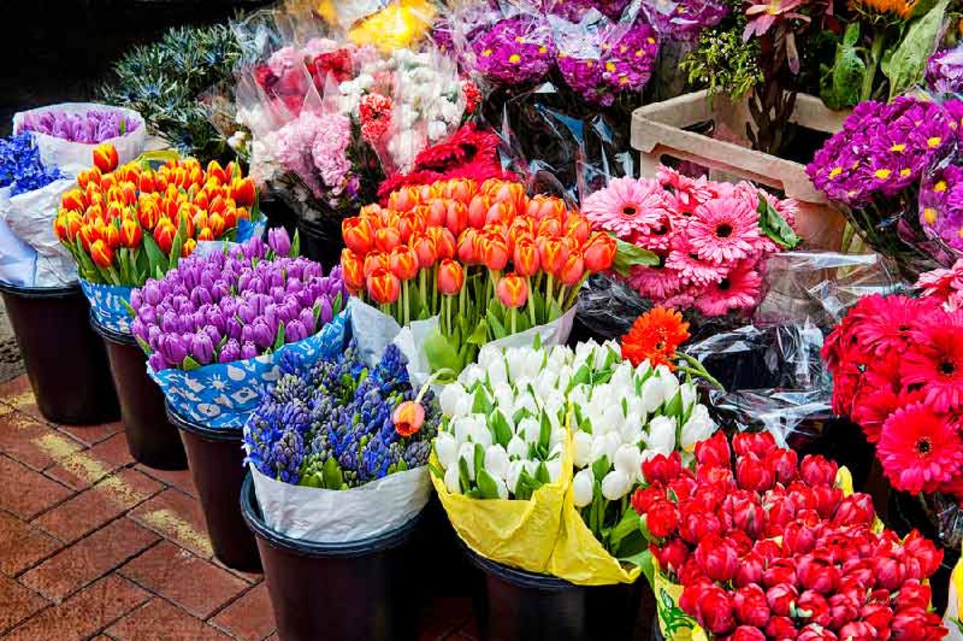 گلهای شاخه ‌ای بازار گل محلاتی