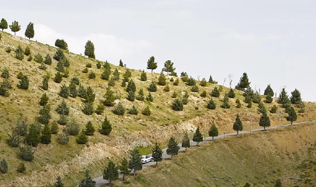 پارک جنگلی کوهسار تهران